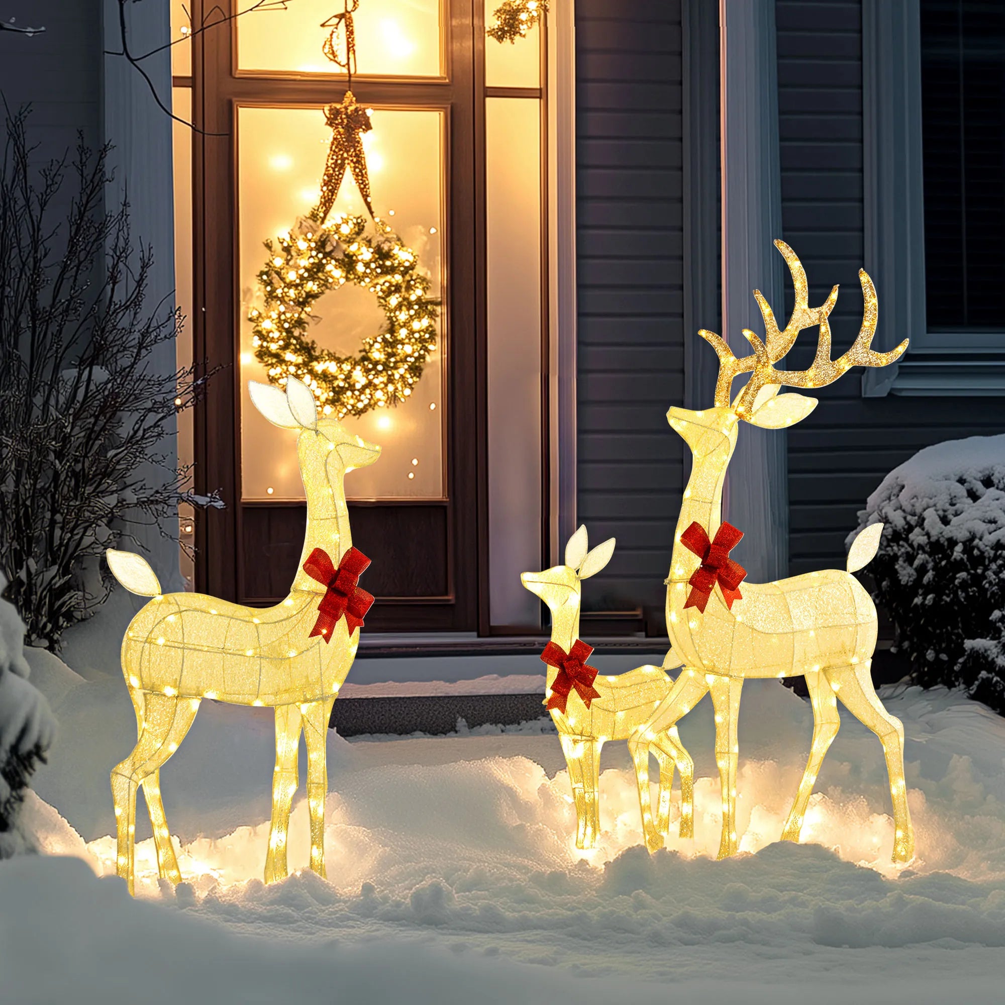 Light Up Christmas Deer Family Set Of 3