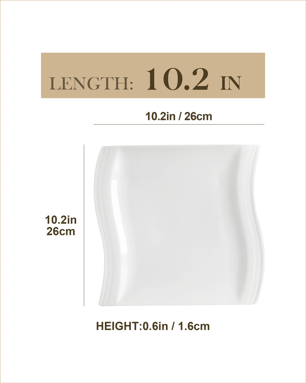 6/12 Piece 10.25"  Cream White Dinner Plates
